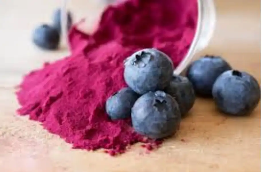 Health Benefits of Blueberry Extract Anthocyanins